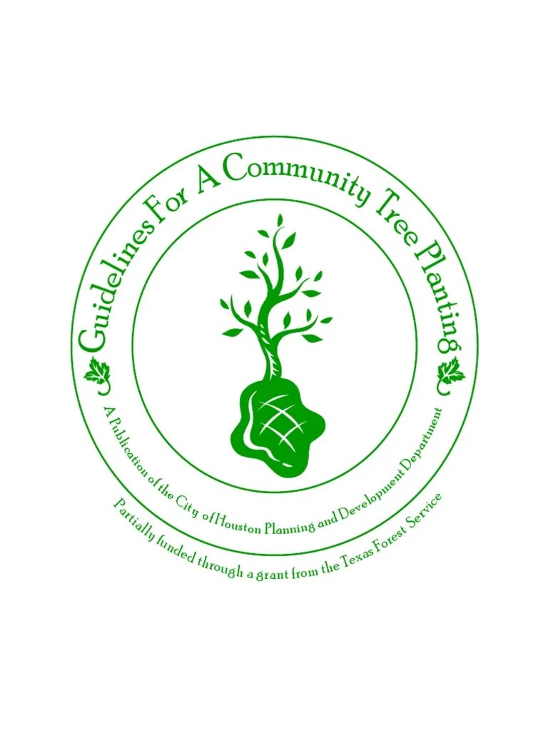 Tree Planting | PDF | Trees | Pruning