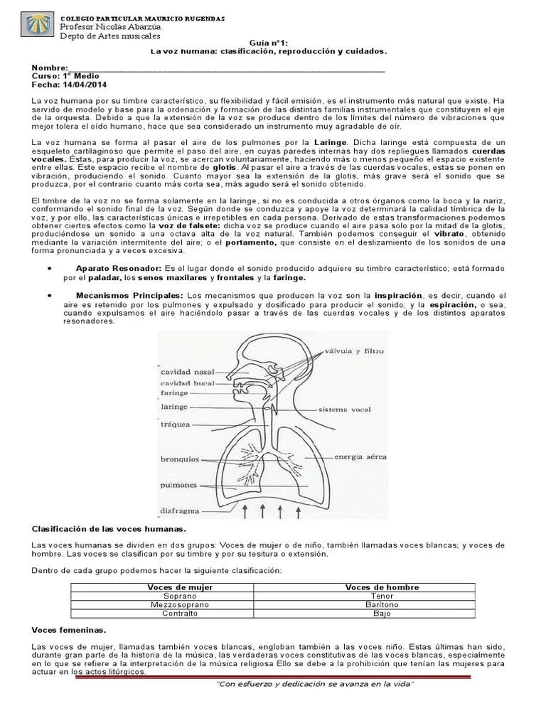 Guía, La Voz Humana | PDF | Coro | Música Vocal