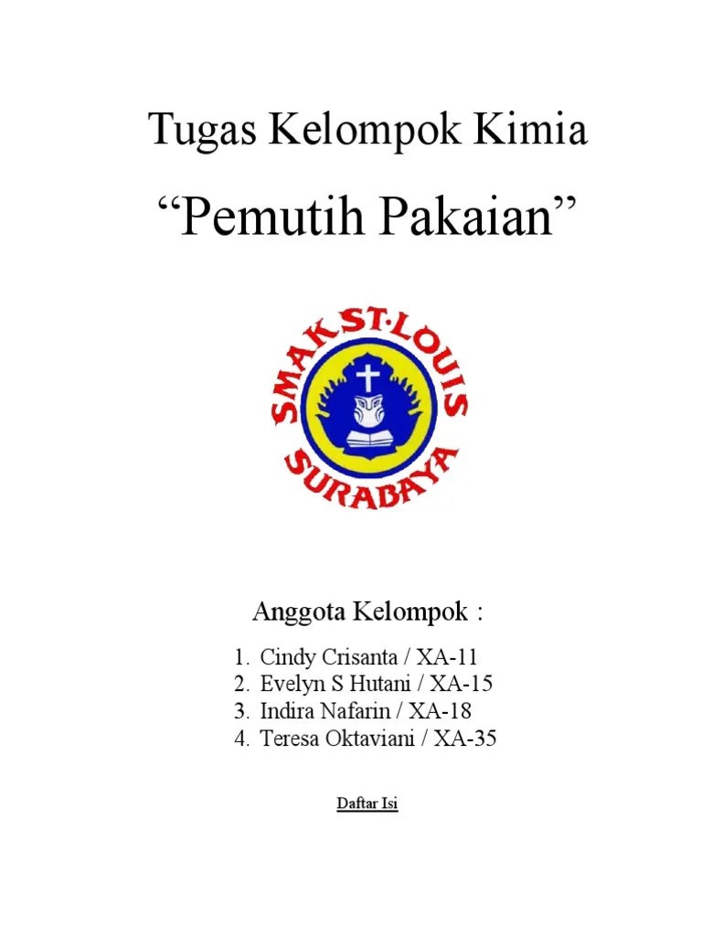 Tugas Kimia Pemutih Pakaian | PDF
