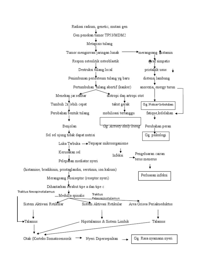 Pathway Jadi Osteosarcoma | PDF
