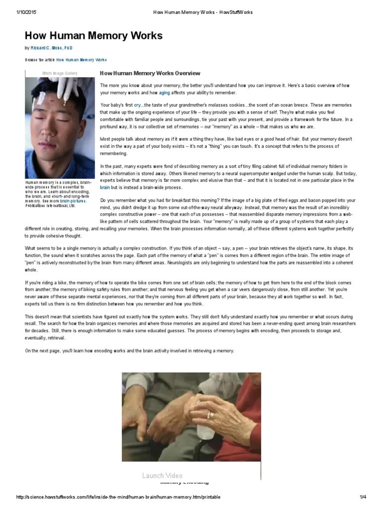 How Human Memory Works | PDF | Memory | Neuron