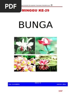 Semoga memberi manfaat buat semua. Minggu 29 Pdf