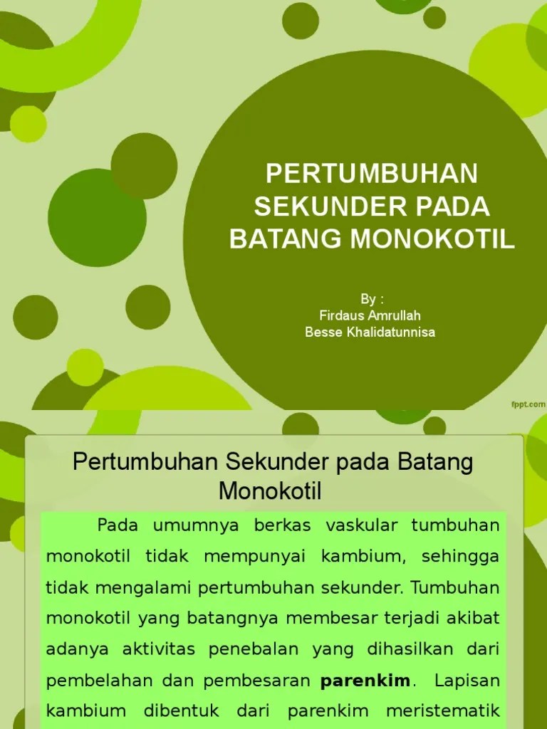 Anomali Batang Monokotil | PDF