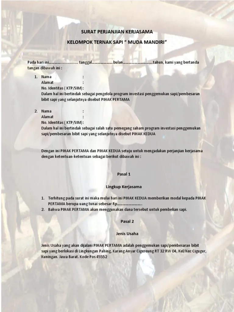 5 Contoh Surat Perjanjian Jual Beli Hewan Qurban Kumpulan Letter Info Lengkap.