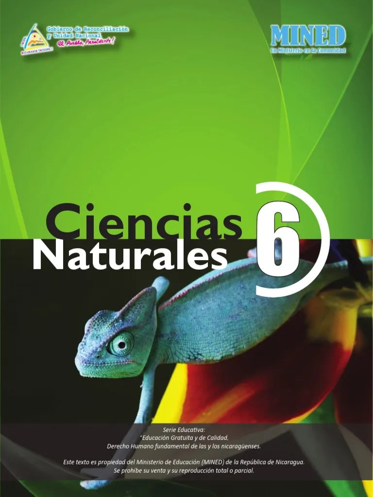 El presente libro de ciencias naturales para sexto grado es un cuaderno de trabajo con ejercicios y actividades lúdicas acordes a la cronología este libro de ciencias naturales 6 reúne una gran cantidad de actividades y ejercicios para trabajar con nuestros alumnos a manera de refuerzo, como. Libro de Texto de Ciencias Naturales 6to Grado MINED Edición en PDF 2014 | Cerebro | Testículo ...