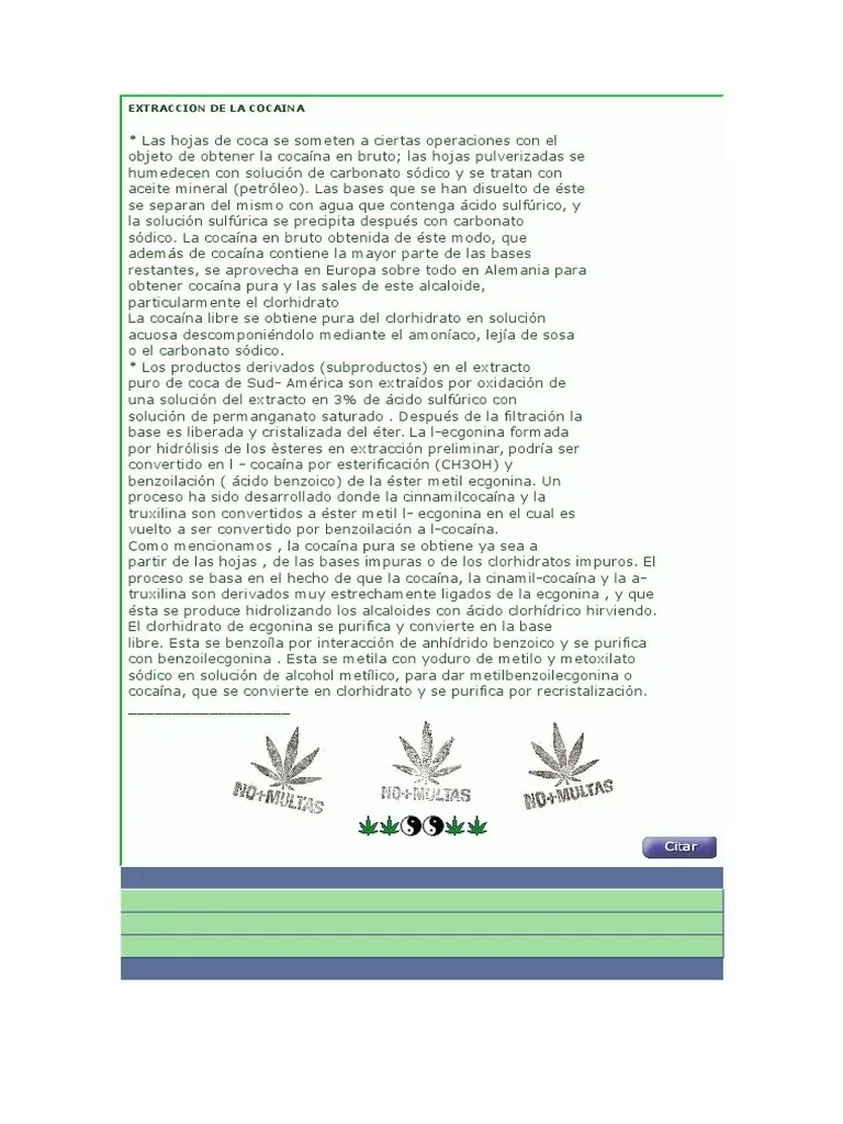 Procesos De Extracción Y Síntesis De La Cocaína A Partir De Hojas De Coca | PDF | Cocaína ...