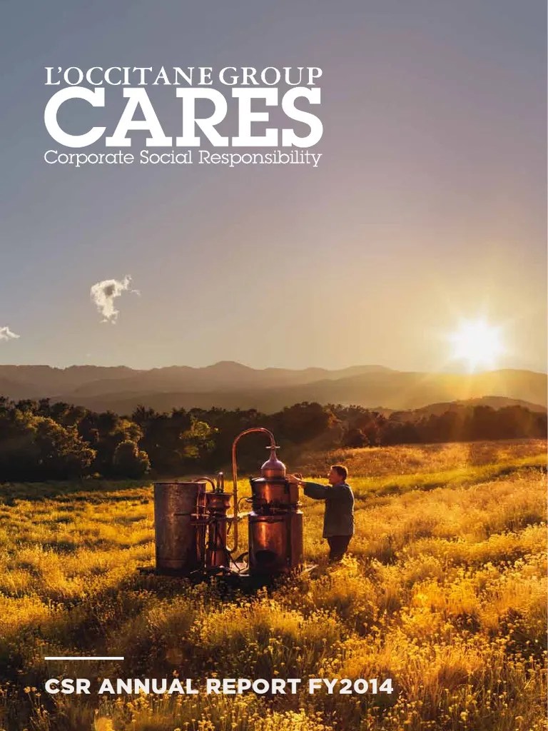 Contoh CSR Report | PDF | Corporate Social Responsibility | Sustainability