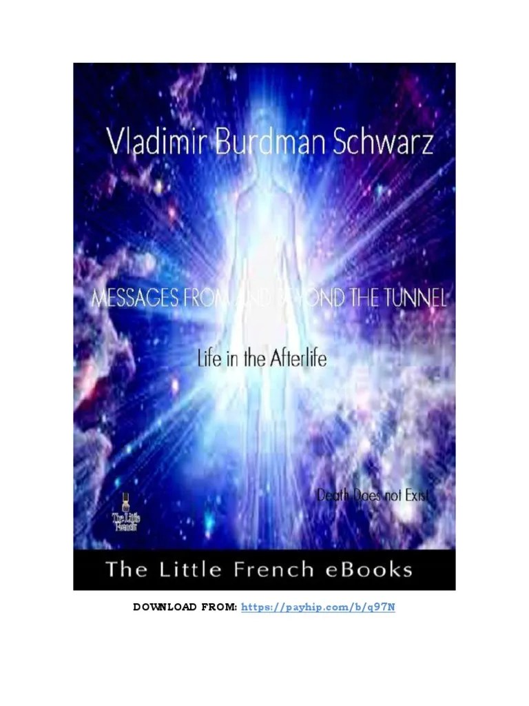 Understanding The Afterlife | PDF | Afterlife | Reincarnation