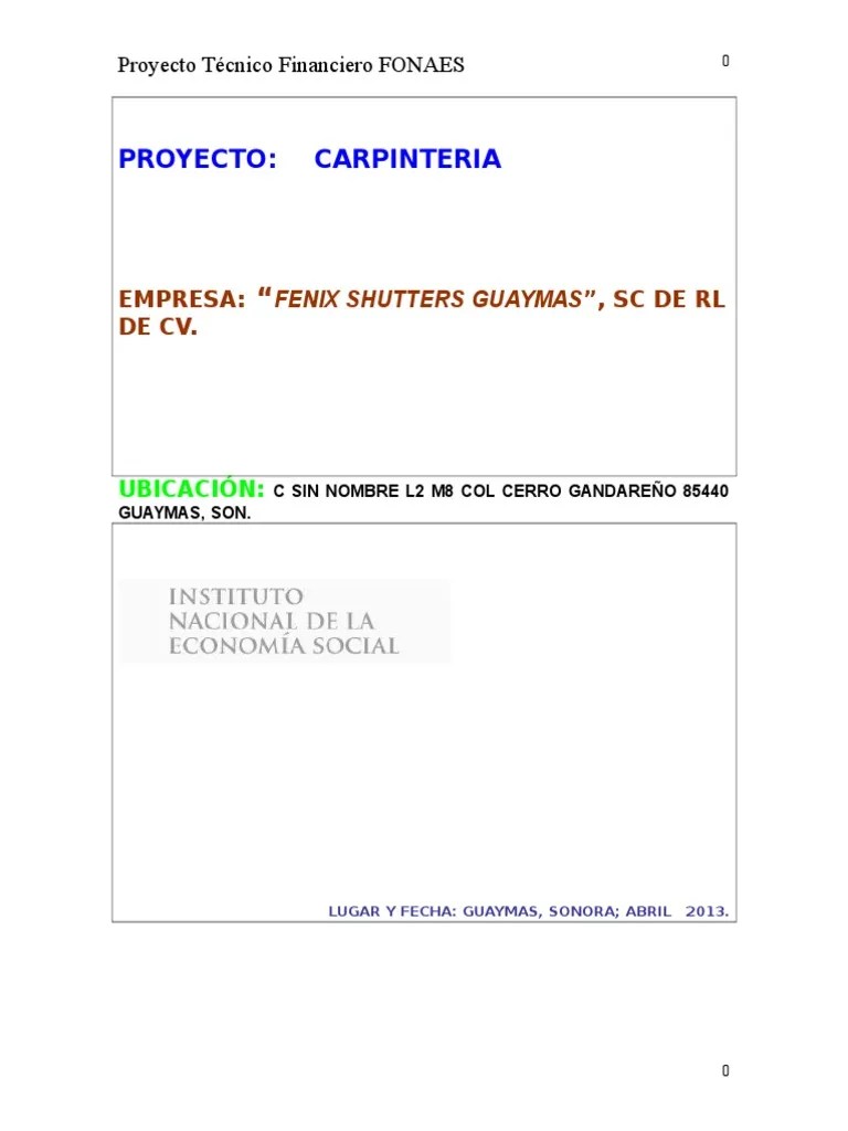 Proyecto Carpinteria Business Economias