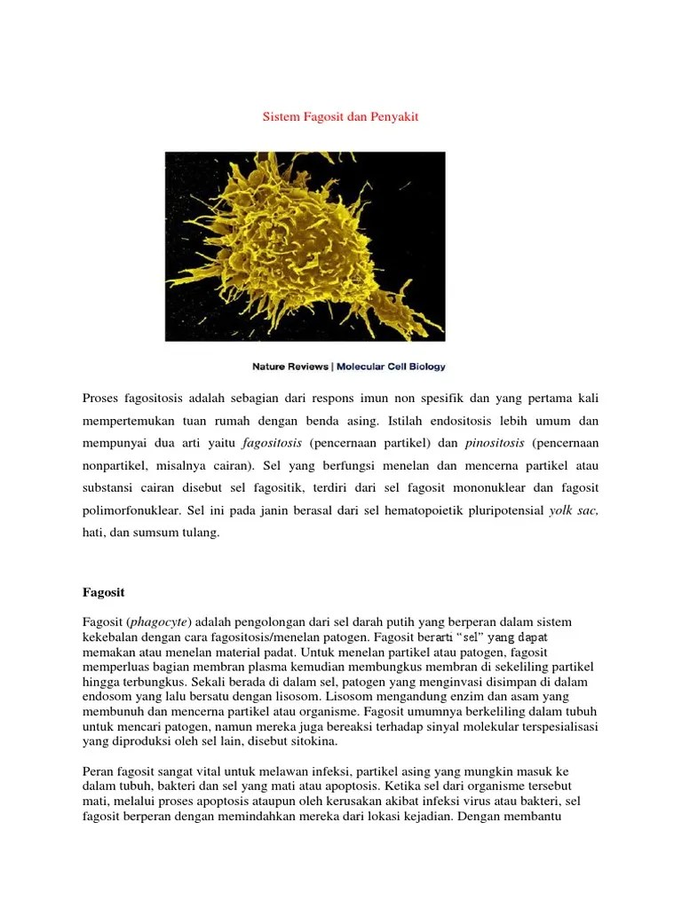 Sistem Fagosit Dan Penyakit