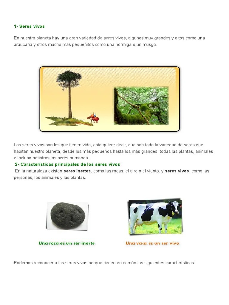 Seres Vivos | PDF | Plantas | Organismos