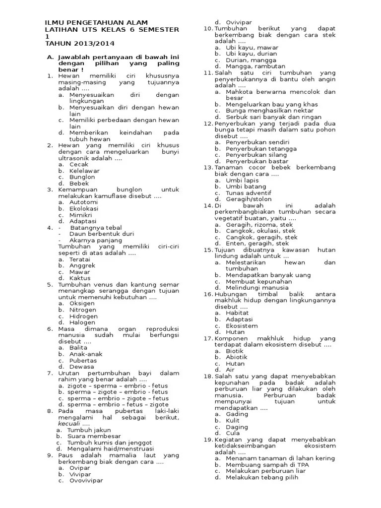 Check spelling or type a new query. Soal Uts Ipa Kelas 6 Semester 1 Pdf