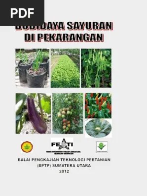 Budidaya Sayuran Di Pekarangan, Brosur Buku | PDF