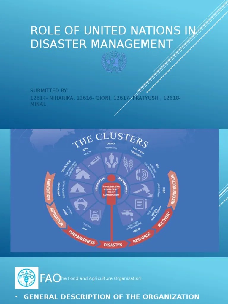 Role Of United Nations In Disaster Management | PDF | International Federation Of Red Cross And ...