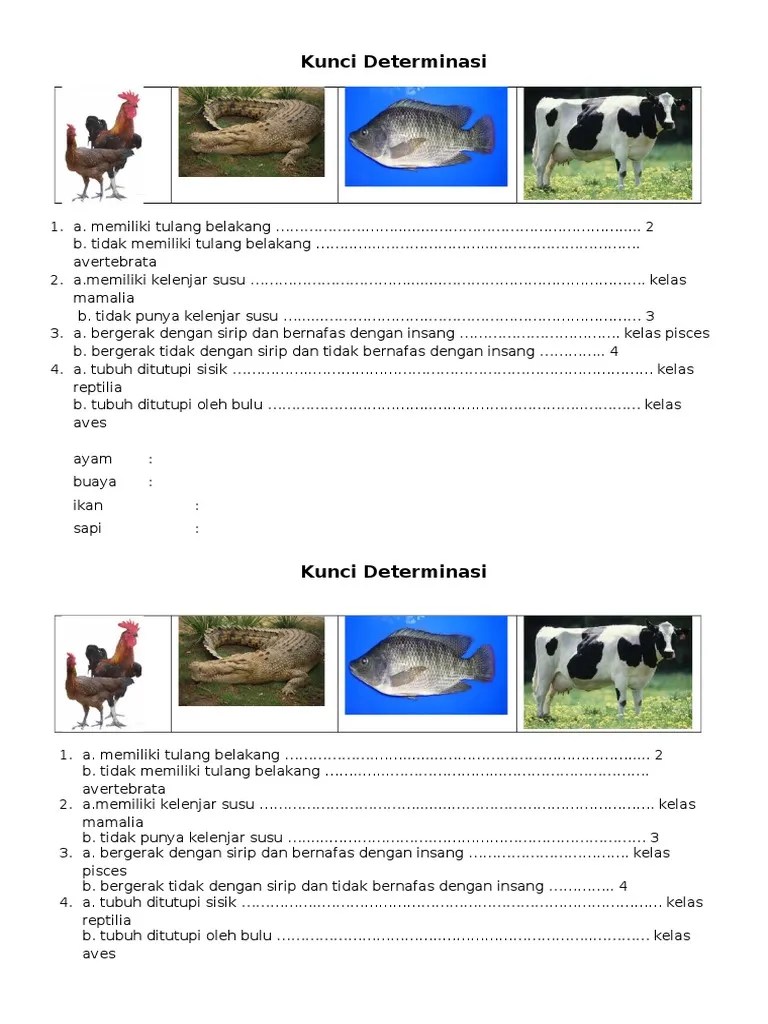 Kunci Determinasi Sederhana | PDF