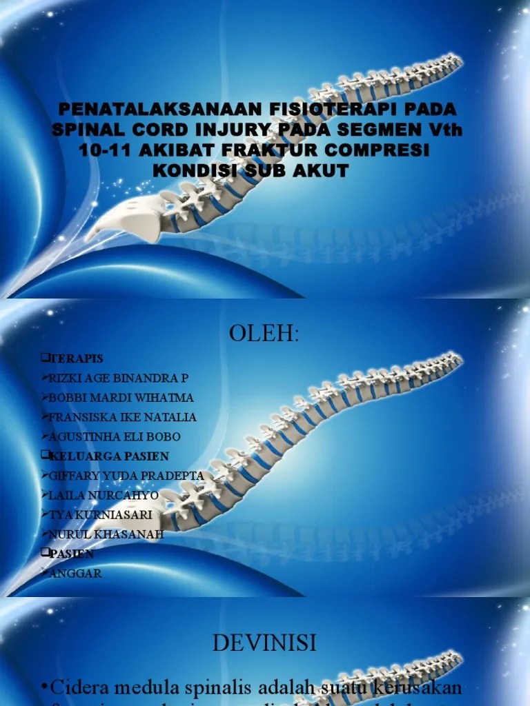 Penatalaksanaan Fisioterapi Pada Spinal Cord Injury | PDF