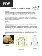 08a The Skelskeletal Systemetal System Bone