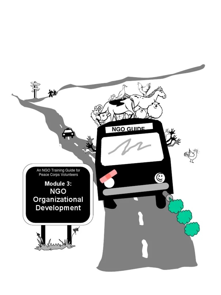 NGO Guide | PDF | Non Governmental Organization | Organization Development