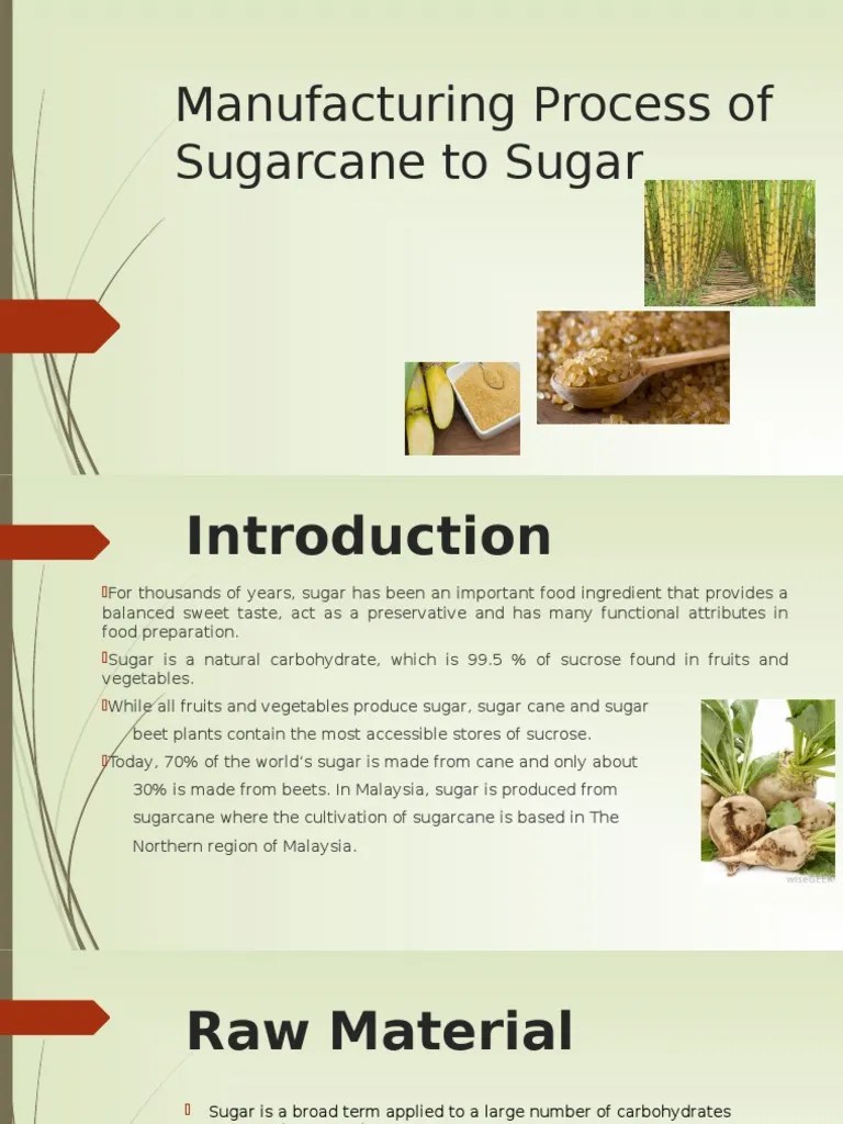 Manufacturing Process Of Sugarcane To Sugar | Sugarcane | Sugar | Free 30-day Trial | Scribd