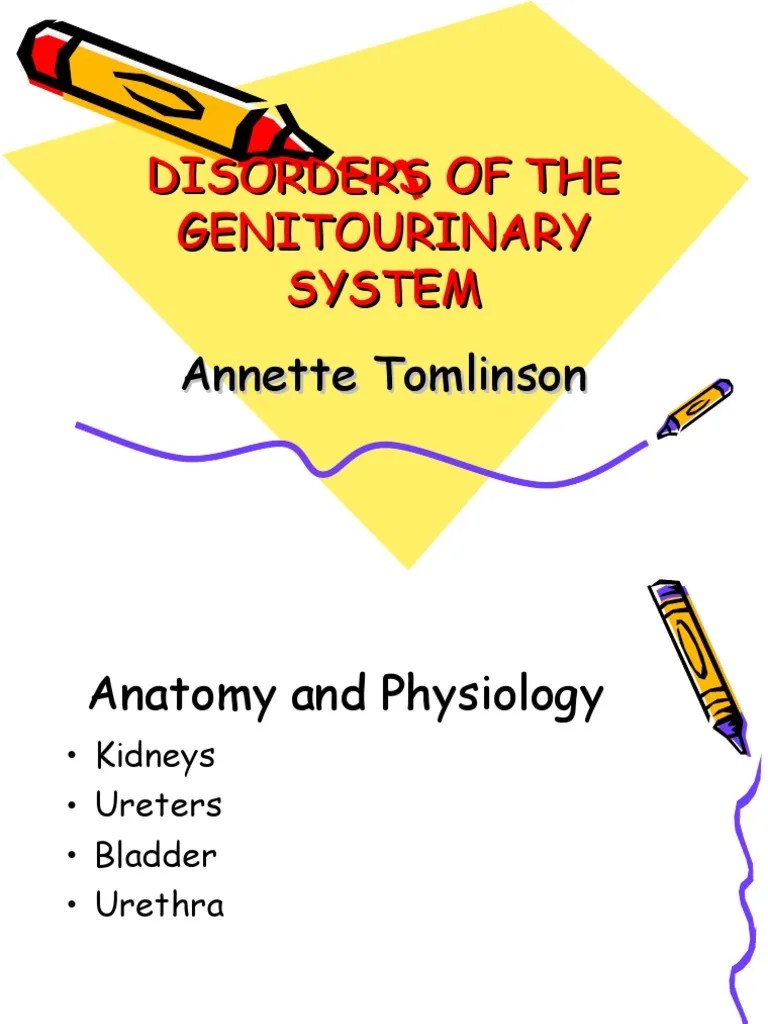 Disorders Of The Genitourinary System | PDF | Urinary Tract Infection | Edema