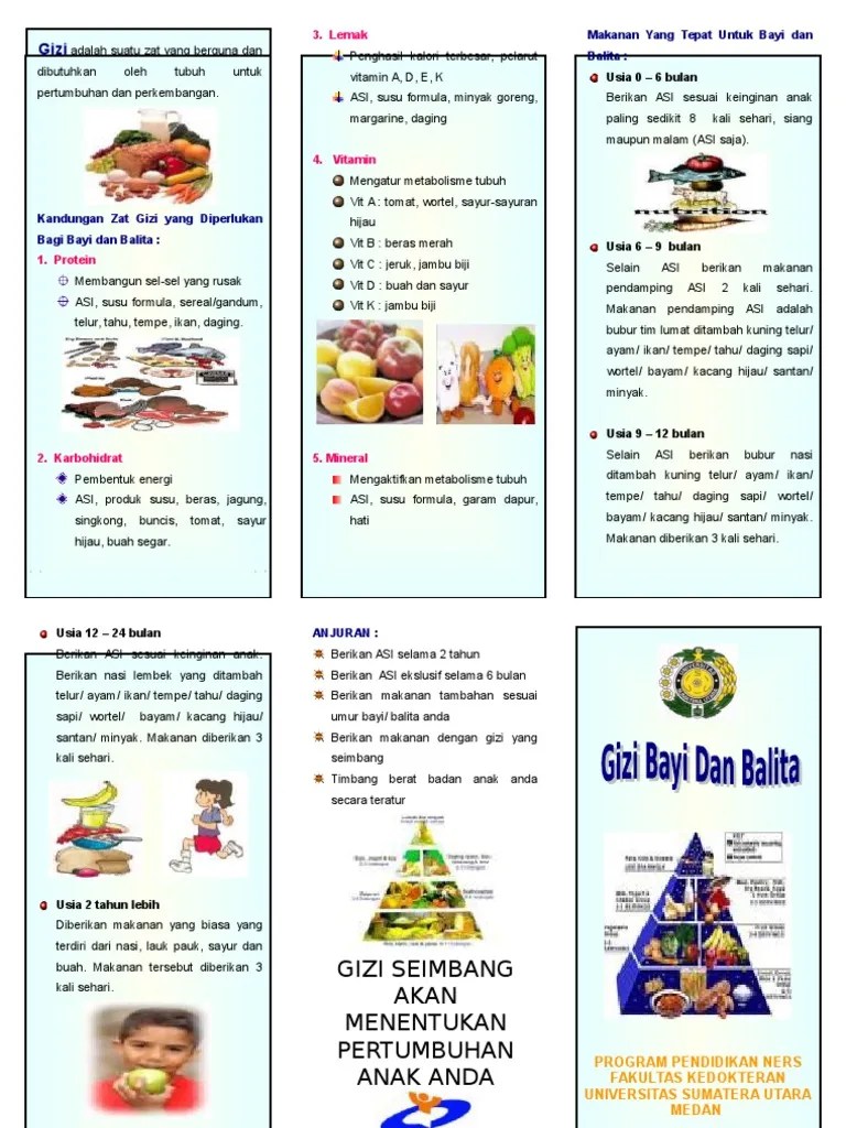 Selain memberikan makanan tambahan pada balita penderita gizi buruk. Leaflet Gizi Bayi Dan Balita Pdf