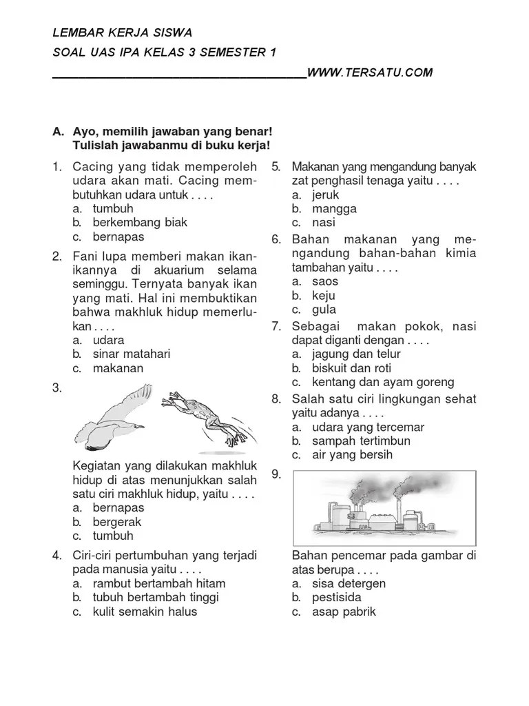Kumpulan soal untuk mempersiapkan ujian tengah semester untuk kelas 3 sd mata pelajaran matematika. Soal Uas Ipa Kelas 3 Semester 1 Pdf