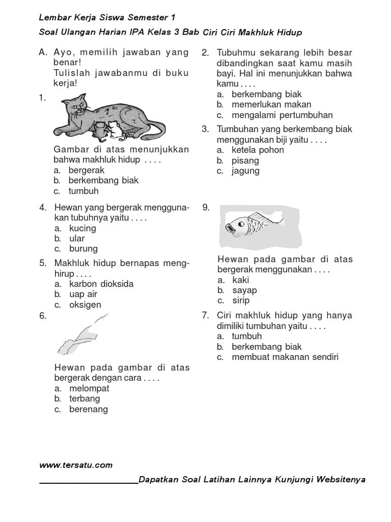 Pendidikan agama islam (pai) semua soal pai. Soal Ulangan Harian Ipa Kelas 3 Semester 2 Bab 3 Beinyu Com