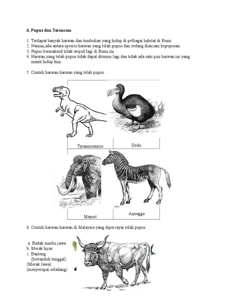 ١٣ ذو الحجة ١٤٤٣ هـ. Pupus Dan Terancam 3 Pdf
