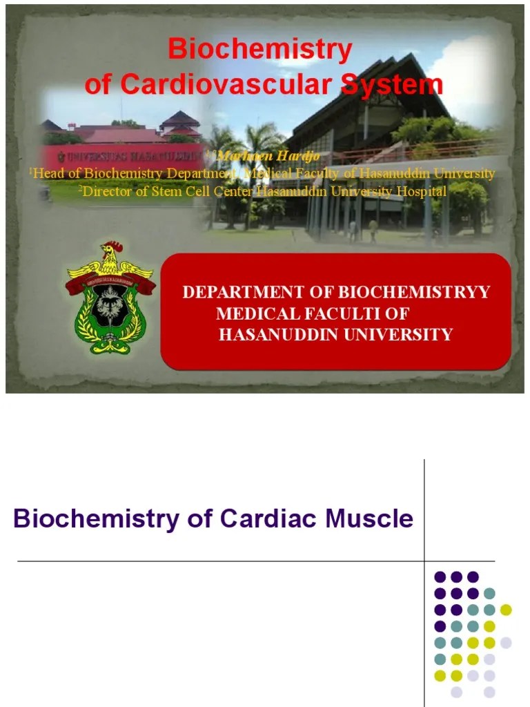 Biochemistry Of Cardiovascular System | PDF | Glycolysis | Adenosine Triphosphate