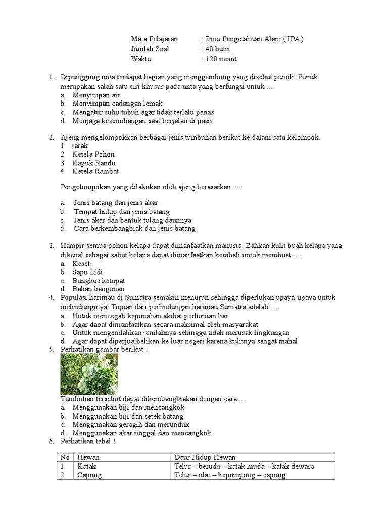 Lihat gambar di bawah ini ! Latihan Soal Us Sd Mi 2016 Ipa 5 Pdf