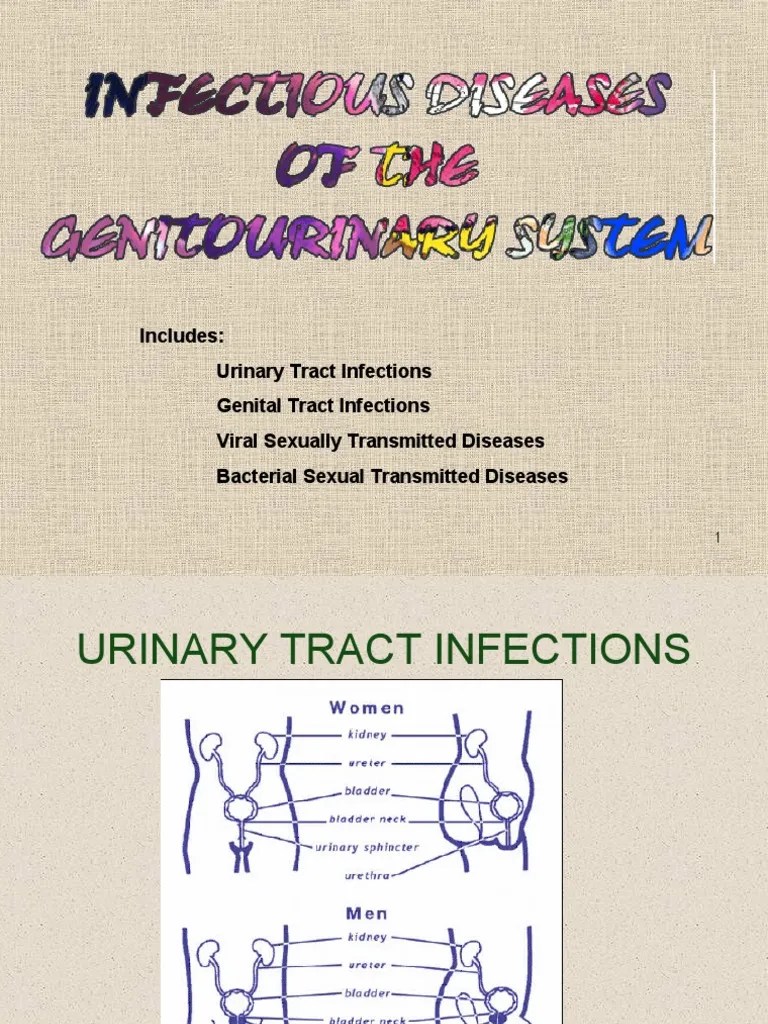 Includes: Urinary Tract Infections Genital Tract Infections Viral Sexually Transmitted Diseases ...