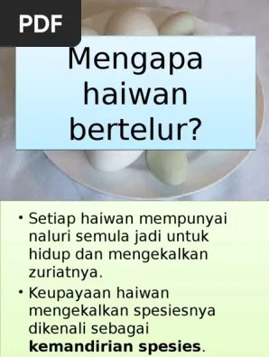 59,383 views aug 21, 2019 myguru merupakan portal pembelajaran yang dibina selaras dengan keperluan silibus pelajar tahun 1 hingga tingkatan . Unit 4 Haiwan Bertelur Sedikit Bertelur Banyak Group Sort Gambar Haiwan Bertelur Sedikit