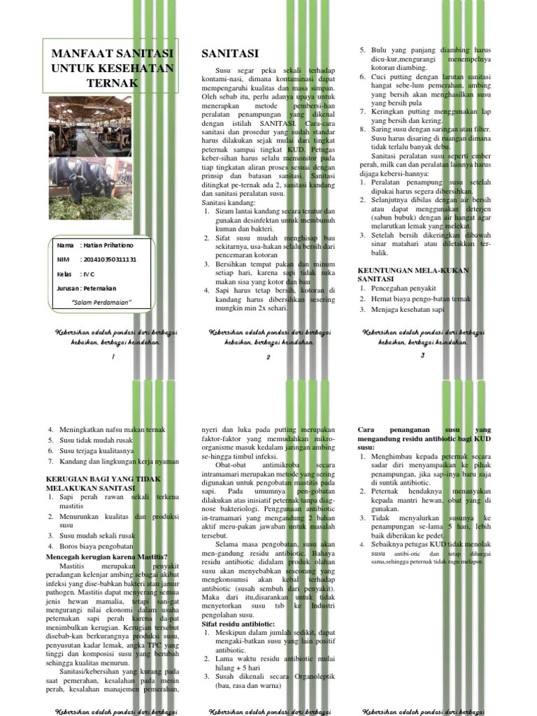 Liflet Sanitasi Perkandangan (Materi Penyuluhan) | PDF