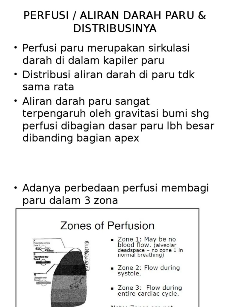 PERFUSI | PDF