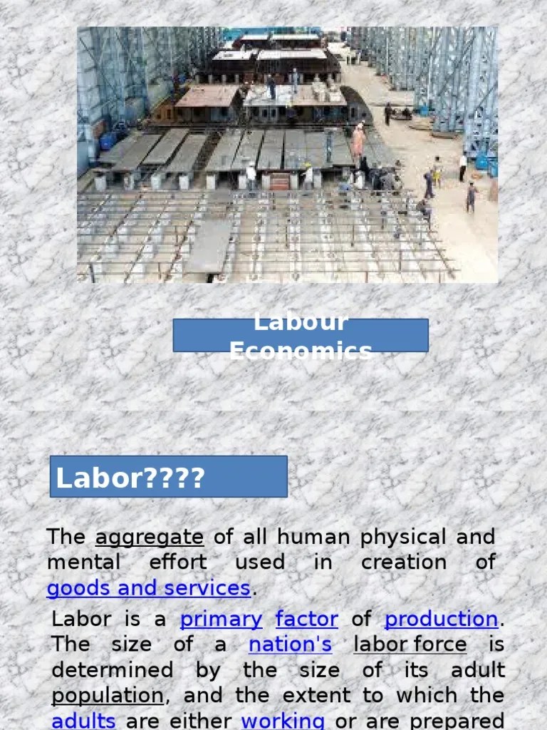 Introduction To Labour Economics & Personnel Economics - T | PDF | Labour Economics | Economics