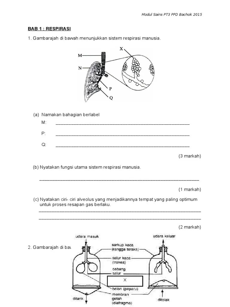 Modul kbat sains menengah rendah daerah pasir gudang. Soalan Kbat Sains Tingkatan 3 Bab 1 Blog Sains Pt3 Contoh Soalan Kbat Bab 1 Soalan Kbat Sains Tingkatan 3 Bab 1 Guillermoblogconway