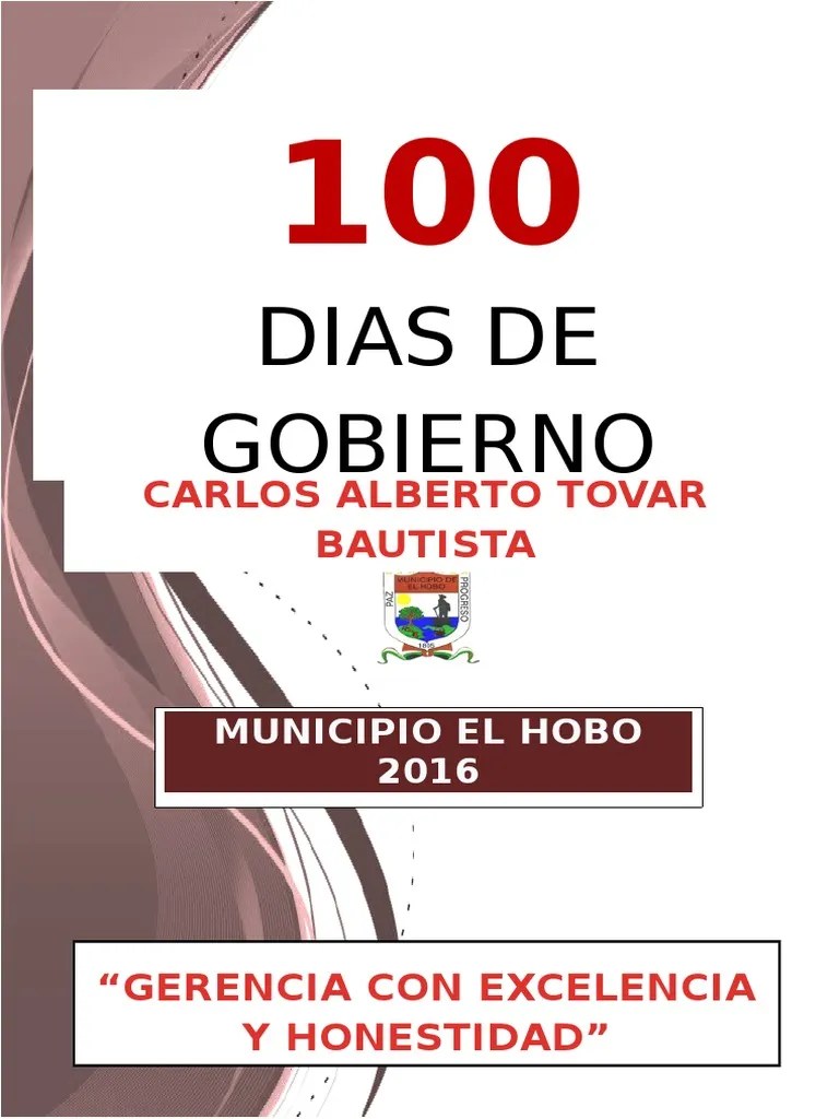 Informe 100 Dias De Gobierno | PDF | Alcalde | Fiebre Del Zika