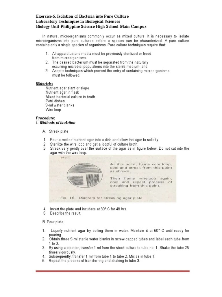 Isolation And Characterization Of Bacterial Cultures Through Streak ...
