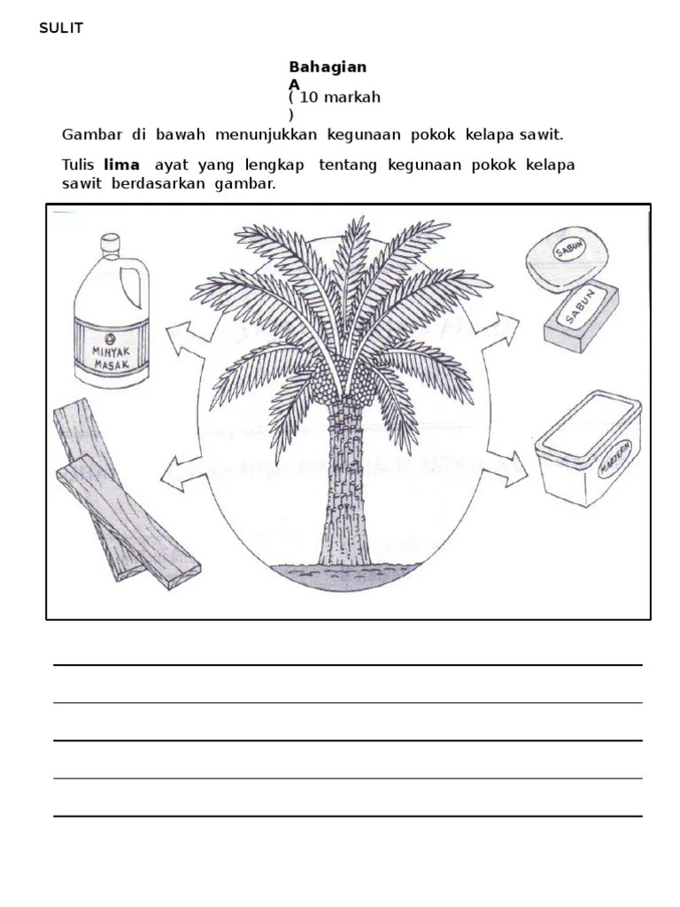 Klasifikasi dan morfologi tanaman kelapa sawit agroindustri. Soalan Sem 1 Bm Tahun 4 Penulisan Pdf
