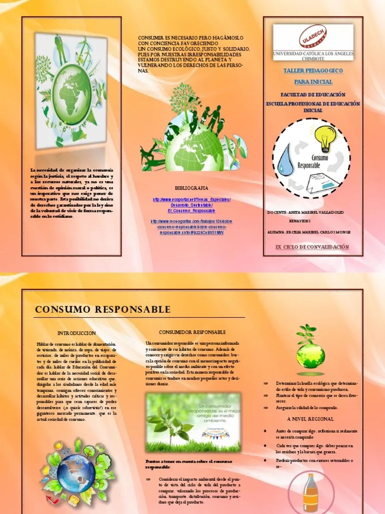 Consumo Responsable PDF | PDF | Consumo (economía) | Consumismo