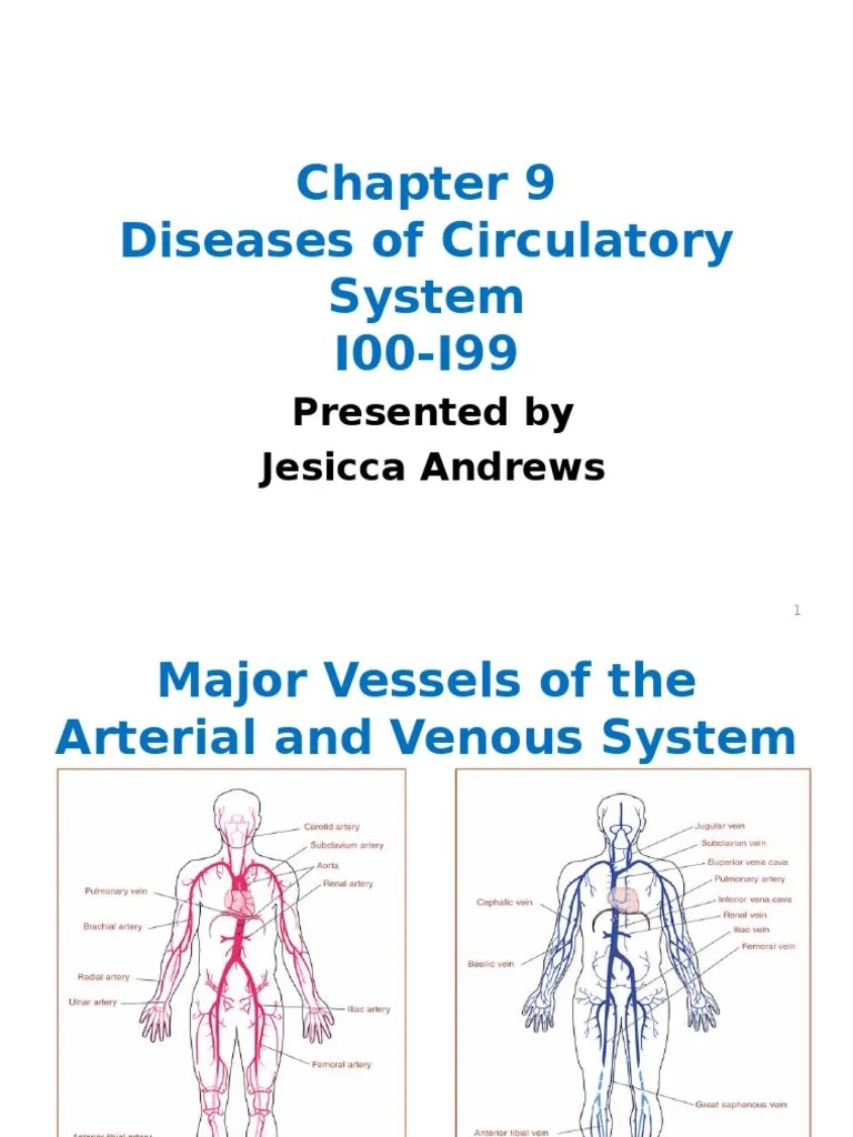 Class CHAPTER 9 - Circulatory With Answers | PDF | Angina Pectoris | Coronary Artery Disease