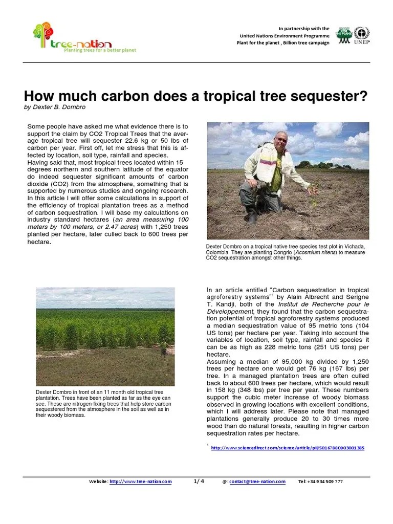 Tropical Tree Sequestration Co2 Tree-Nation | PDF | Carbon Sequestration | Plantation