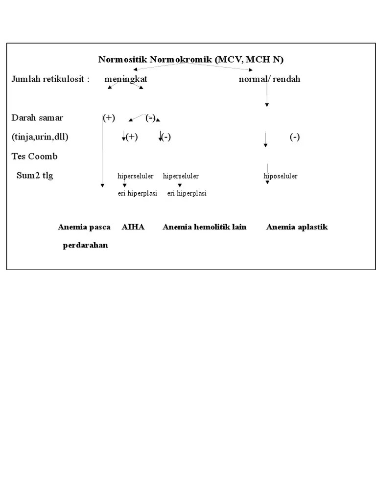 Anemia Types: Normocytic Normochromic (MCV, MCH N | PDF | Clinical Pathology | Hematology
