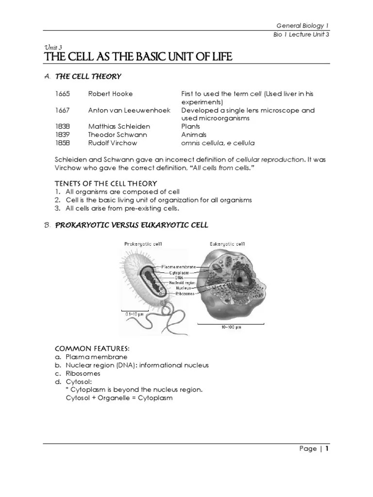 The Cell As The Basic Unit Of Life | PDF | Cell (Biology) | Cell Membrane