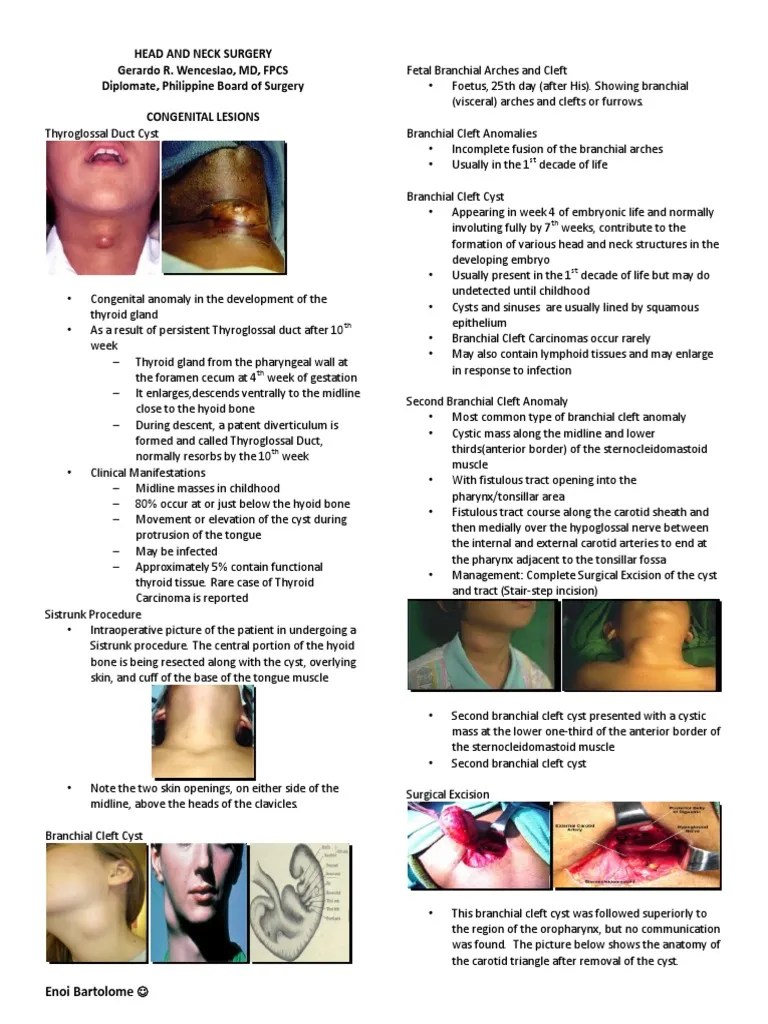 Head And Neck Surgery | PDF | Neck | Human Head And Neck