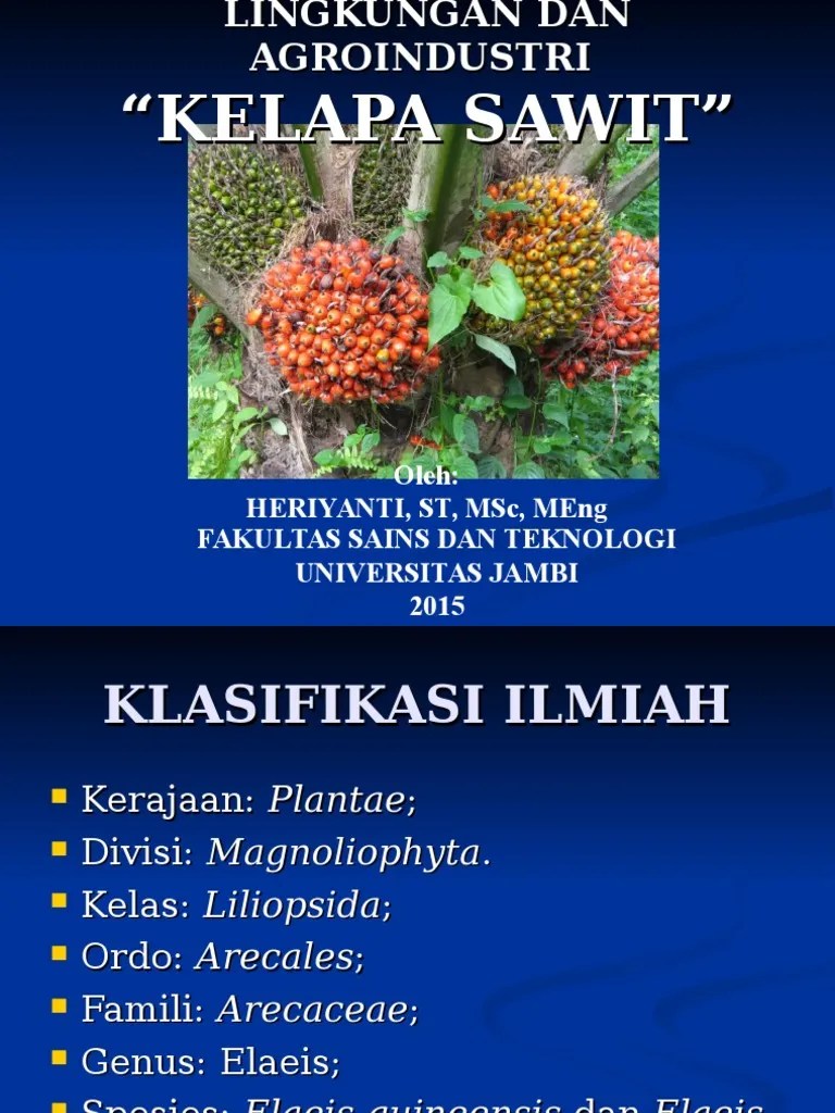 Kelapa Sawit | PDF