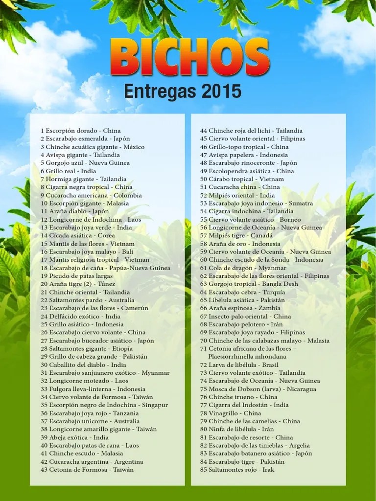 Bichos | PDF | Asia | Insectos
