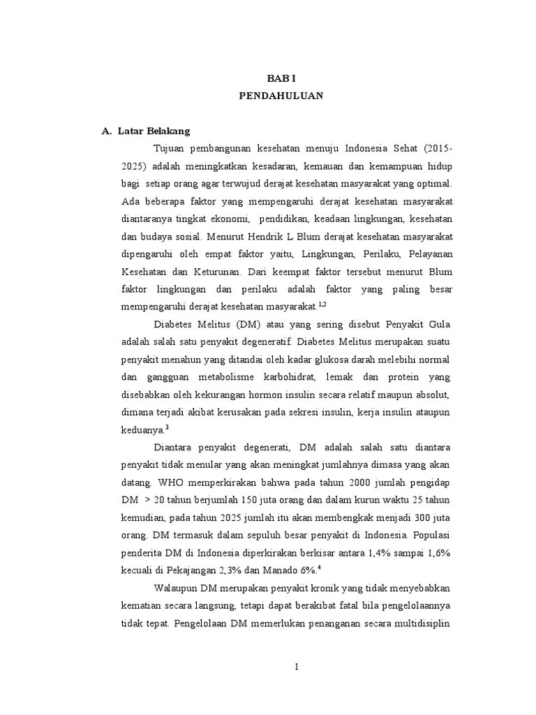 Laporan Penyuluhan DM - Suci | PDF