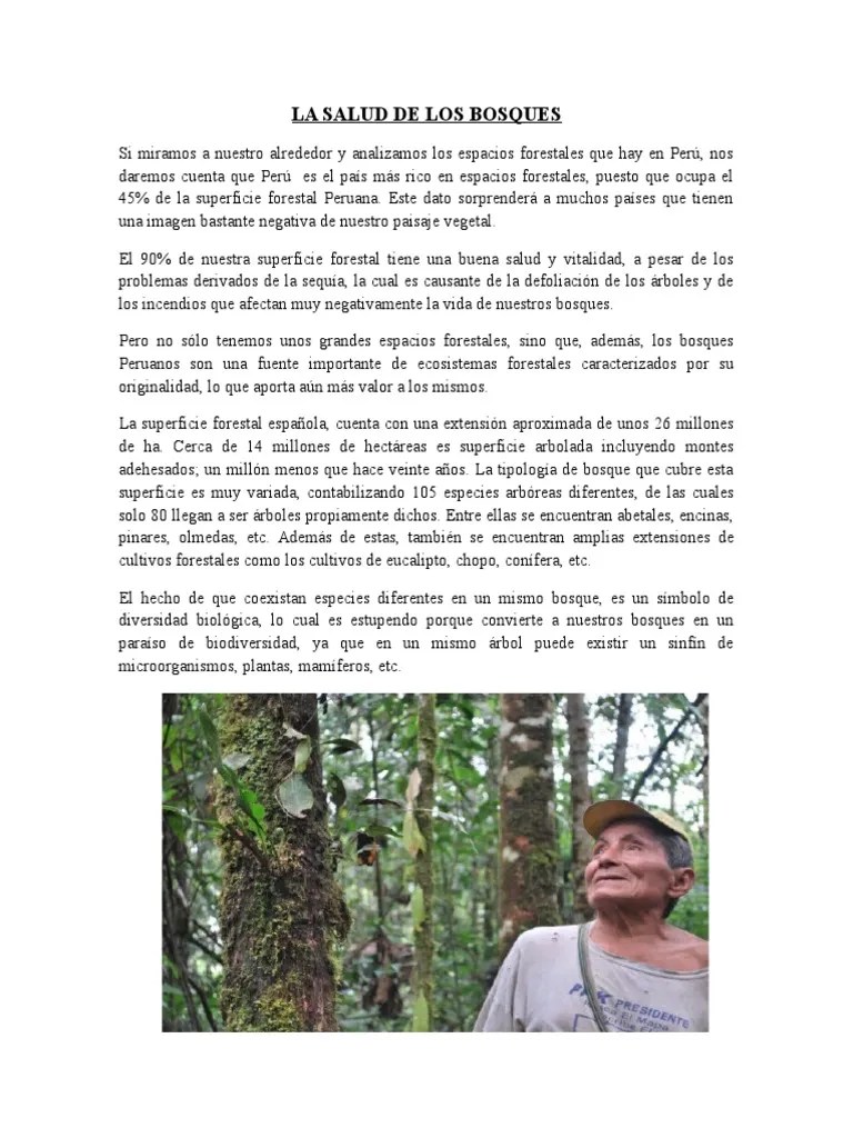 La Salud De Los Bosques | PDF | Los Bosques | Residuos