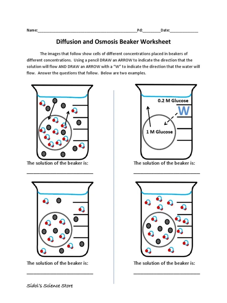 Osmosis and diffusion worksheet